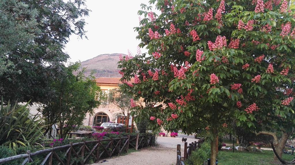 فيلا Sezzeفي Tenuta Le Pantanelle المظهر الخارجي الصورة