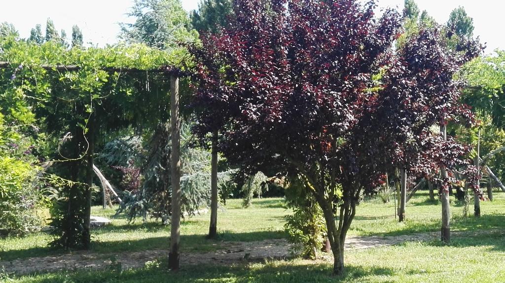 فيلا Sezzeفي Tenuta Le Pantanelle المظهر الخارجي الصورة