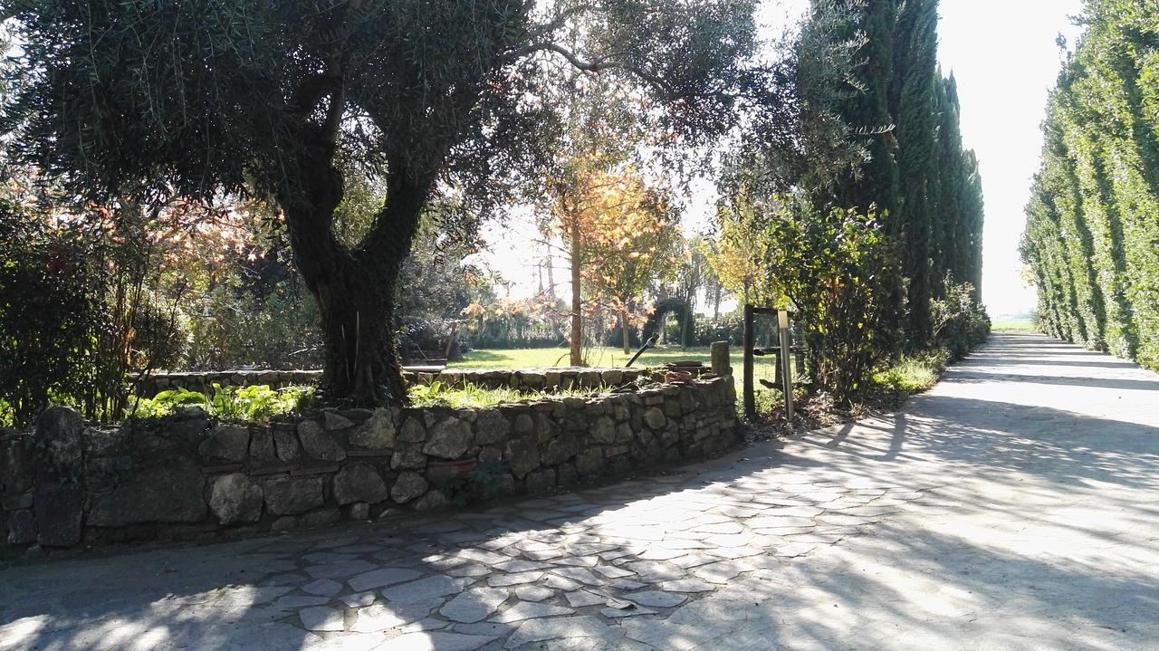 فيلا Sezzeفي Tenuta Le Pantanelle المظهر الخارجي الصورة