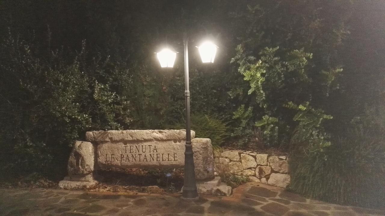 فيلا Sezzeفي Tenuta Le Pantanelle المظهر الخارجي الصورة