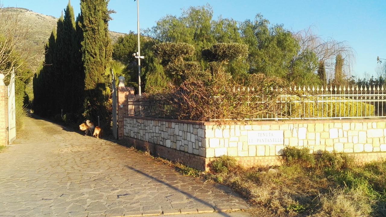 فيلا Sezzeفي Tenuta Le Pantanelle المظهر الخارجي الصورة